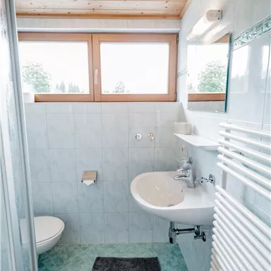 Ein modernes Badezimmer mit großen Fenstern und hellem Holzdecke. Es enthält eine Dusche, ein Waschbecken und eine Toilette.