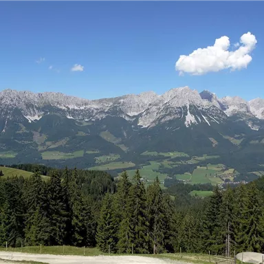 Eine beeindruckende Berglandschaft mit hohen Gipfeln und einem klaren blauen Himmel. Im Vordergrund stehen grüne Bäume und sanfte Hügel.