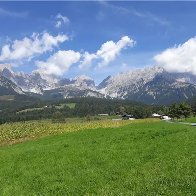 A picturesque landscape with majestic mountains and a clear sky. In the foreground, a green meadow stretches out and a path leads into the distance.