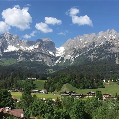 An impressive mountain landscape with snow-covered peaks and lush green in the foreground. Some picturesque houses are nestled between forests and meadows.