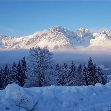 Eine beeindruckende Winterlandschaft mit schneebedeckten Bergen und blauen Himmel. Im Vordergrund stehen verschneite Bäume und eine sanfte Schneedecke.