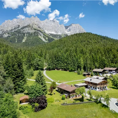 Eine malerische Landschaft mit grünen Wäldern und majestätischen Bergen im Hintergrund. Im Vordergrund stehen mehrere charmante Häuser auf einer ruhigen Wiese.
