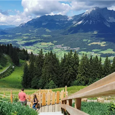 Eine malerische Berglandschaft mit grünen Wiesen und dichten Wäldern. Im Vordergrund sind Wanderer auf einem Holzweg zu sehen.