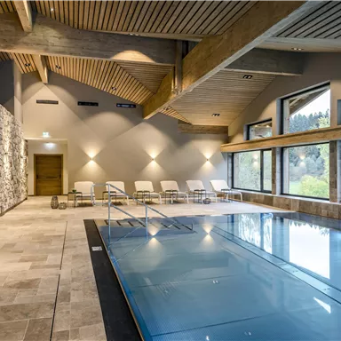 Ein moderner Innenpool mit großen Fenstern und natürlichem Licht. Der Bereich ist stilvoll mit Holz und Stein gestaltet, ideal zum Entspannen.