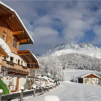 Ein charmantes Holzhaus im Schnee, umgeben von einer winterlichen Landschaft. Im Hintergrund sind majestätische Berge und ein klarer blauer Himmel sichtbar.