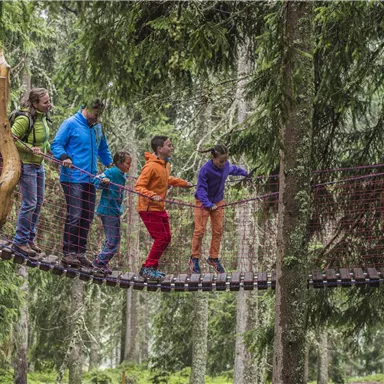 A group of five children balances on a suspension bridge in the forest. They are wearing colorful jackets and standing among tall trees.