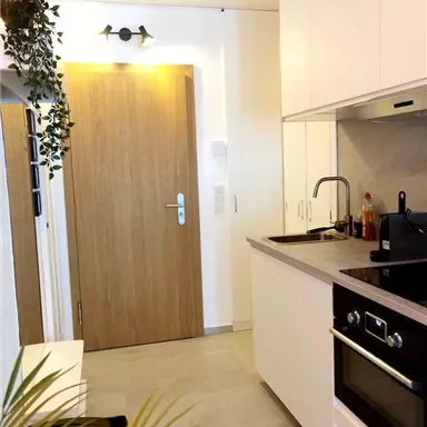 Eine moderne Küche mit hellen Schränken und einer eleganten Arbeitsfläche. An der Wand befindet sich eine Holztür und eine kleine Pflanze auf der linken Seite.