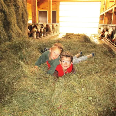 Two cheerful children are lying on hay in a barn. Cows can be seen in the background.