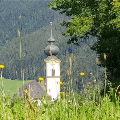 Eine malerische Landschaft mit einem idyllischen Dorf und grünen Wiesen. Im Hintergrund ist ein Kirchturm und hohe Berge zu sehen.