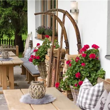 A cozy terrace with wooden tables and colorful flowers. In the background, traditional decorations and comfortable cushions can be seen.