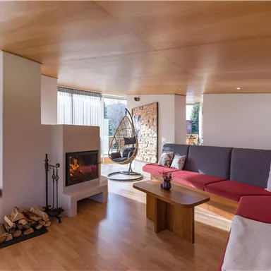 A modern living room with a cozy fireplace and a hanging chair. The large windows let in plenty of light and offer a view of the surroundings.