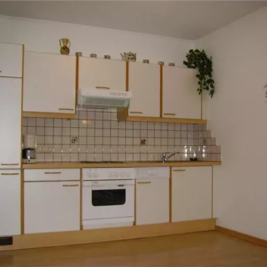 A modern kitchen . There are much kitchen utensils, and the floor is made of wood.