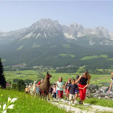 A group of people is hiking on a path through the mountains. In the foreground, llamas and children can be seen, while the impressive mountain landscape shines in the background.