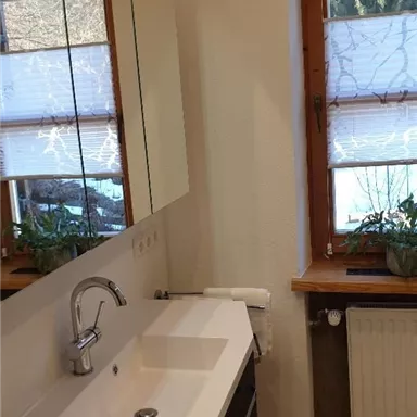 A modern bathroom with a simple sink and a large mirror. Natural light streams through the window onto the plants in the room.