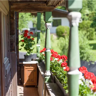 Ein Balkon mit blühenden roten Geranien und grünen Säulen. Im Hintergrund sind üppige, grüne Landschaften zu sehen.