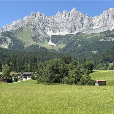 Eine malerische Landschaft mit grünen Wiesen und majestätischen Bergen im Hintergrund. Im Vordergrund sind einige Gebäude und Bäume zu sehen.