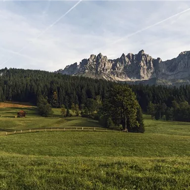 A picturesque meadow landscape with green meadows and dense forests. In the background, impressive mountains rise under a clear sky.
