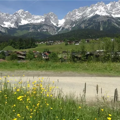 Eine malerische Landschaft mit grünen Wiesen und bunten Blumen. Im Hintergrund erheben sich majestätische, schneebedeckte Berge und ein kleines Dorf.