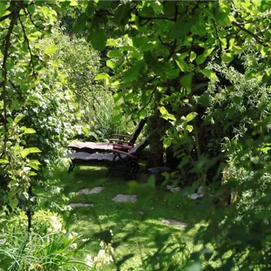 A green garden with many trees and plants. In the background, there is a small seating area.