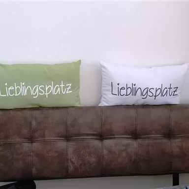 Two cushions on a couch with the inscription "Favorite spot." One is green and the other is white.