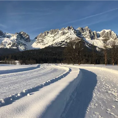 Eine verschneite Landschaft mit markierten Langlaufloipen. Im Hintergrund sind majestätische Berge und ein klarer blauer Himmel zu sehen.