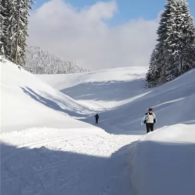 A snow-covered landscape with tall trees and a clear sky. Two people are hiking through the snowy valley.