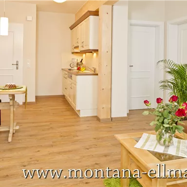 A bright and modern living room with a kitchenette. There is a dining table, a cozy armchair, and plants for decoration.