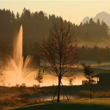 A beautiful morning with a water jet and a misty landscape background. Trees and a hut frame the scene.