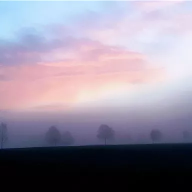 Eine neblige Landschaft mit vereinzelten Bäumen im Vordergrund. Der Himmel ist in sanften Rosa- und Blau-Tönen gefärbt.