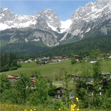 Eine malerische Berglandschaft mit schneebedeckten Gipfeln und einem schönen, grünen Tal. Im Vordergrund sind einige Häuser und blühende Pflanzen zu sehen.