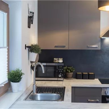 A modern kitchen with gray cabinets and a stainless steel sink. The room is bright and tastefully decorated, with plants and a large window.