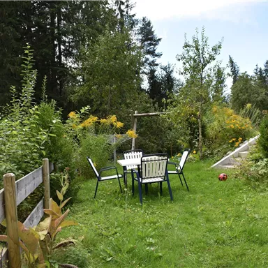 A cozy garden with a table and chairs, surrounded by lush greenery and colorful plants. In the background, there are tall trees and a clear sky.
