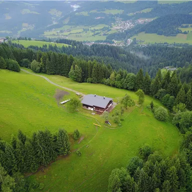 Eine ruhige Almhütte umgeben von grünen Wiesen und dichten Wäldern. Im Hintergrund sind sanfte Hügel und Berge sichtbar.