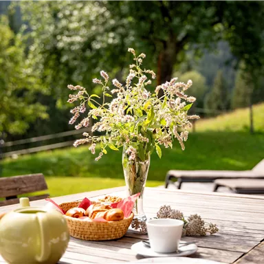 Ein Tisch im Freien, gedeckt mit einer Teekanne, einem Becher und einer Obstschale. Im Hintergrund sind grüne Wiesen und Bäume zu sehen, was eine entspannte Atmosphäre schafft.