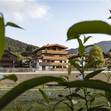 A view of a tranquil village with traditional wooden houses and gentle hills in the background. Green plants frame the scene.