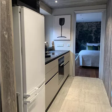 Eine moderne Küche mit einem Kühlschrank und einer eleganten Küchenzeile. Im Hintergrund ist ein Schlafzimmer mit einer grünen Decke zu sehen.
