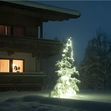 A snow-covered house at night, illuminated by warm light. Outside stands a festively decorated Christmas tree.