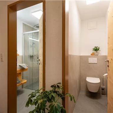A modern bathroom with a shower, toilet, and wooden details. A green plant creates a pleasant atmosphere.