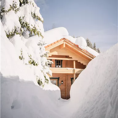A cozy wooden house in the snowy forest.
Tall snow-covered mountains and a clear sky surround the scene.
