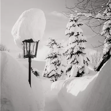 A snowy landscape with high snow drifts and a lamp post. In the background, snow-covered trees stand under a clear sky.