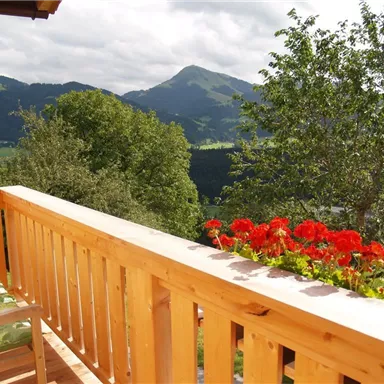 Ein schöner Balkon mit roten Blumen und einer Holzgeländer. Im Hintergrund sind grüne Berge und eine bewaldete Landschaft zu sehen.