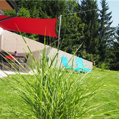 A green meadow with tall grass and two blue lounge chairs. In the background, there is a terrace with a red sunshade and trees.