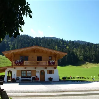 A traditional alpine house with a wooden balcony. In the background, green meadows and trees stretch out under a bright blue sky.