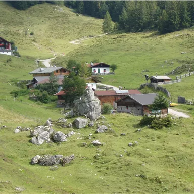 Eine malerische alpine Landschaft mit gemütlichen Holzhäusern und grünen Wiesen. Die Umgebung ist von Felsen und Bäumen umgeben, was eine ruhige Atmosphäre schafft.