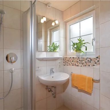 A modern bathroom with a shower and a sink. Windows and plants create a bright and inviting atmosphere.