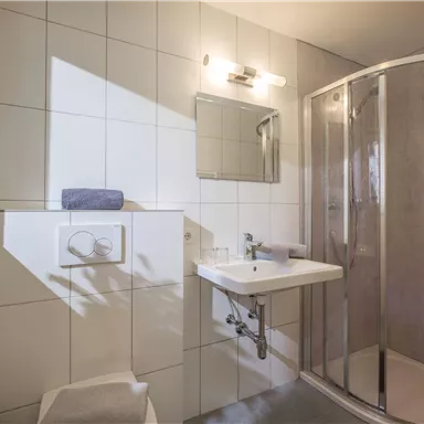 A modern bathroom with tiled walls and a shower cubicle. A towel lies on the sink, and a plant adds a touch of green to the room.
