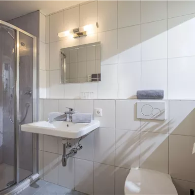 A modern bathroom with a walk-in shower and bright tiles. A small pot with a plant creates a pleasant atmosphere.
