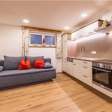 A modern apartment with a gray sofa and red cushions. The kitchen is well-equipped and has a wooden cabinet as well as a modern stove.