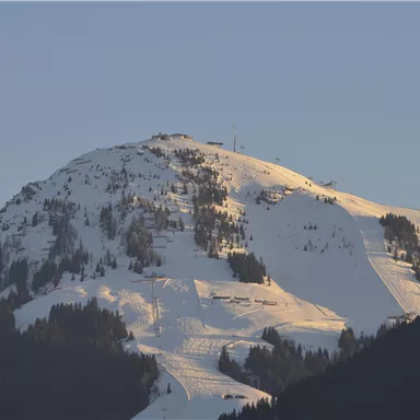 Ein schneebedeckter Berg mit Bäumen an den Hängen. Der Himmel ist klar und blau, was eine ruhige Atmosphäre schafft.