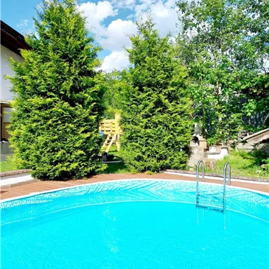 Ein klarer Swimmingpool umgeben von grünen Bäumen. Im Hintergrund sind Wolken und ein hellblauer Himmel zu sehen.